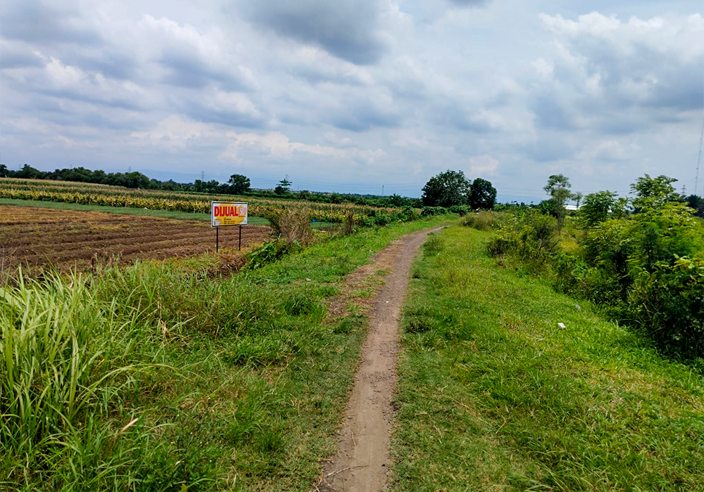 TANAH DI KAB. BREBES - NPL635-2 - foto 3